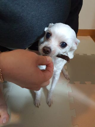 KanginLee님이 올린 리뷰 사진 3