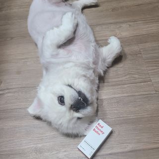 절제미님이 올린 리뷰 사진 3