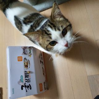 규님이 올린 리뷰 사진 2