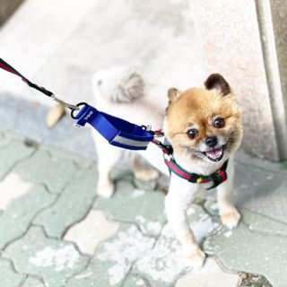 꿀냥이님이 올린 리뷰 사진 1