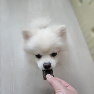 김보연님이 올린 리뷰 사진 2