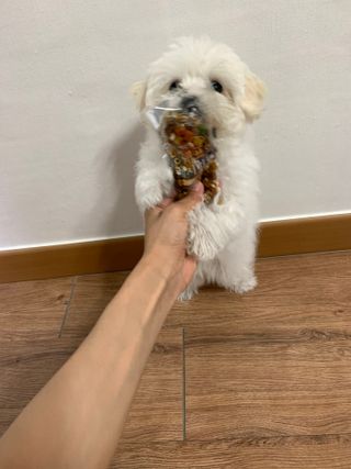 냥냥이님이 올린 리뷰 사진 2