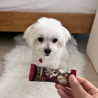 하리이님이 올린 리뷰 사진 2