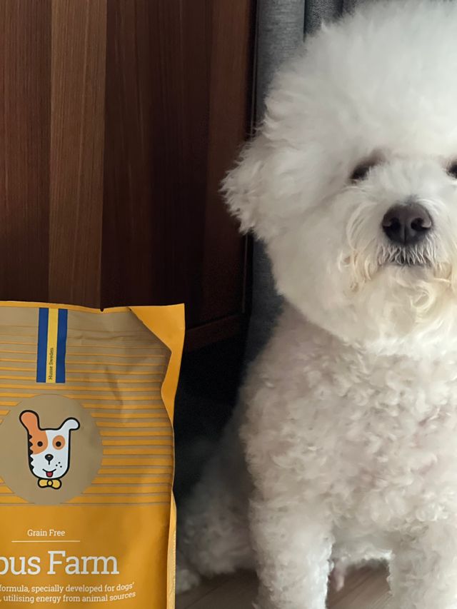 [후새] 오퍼스 팜 리뷰 사진