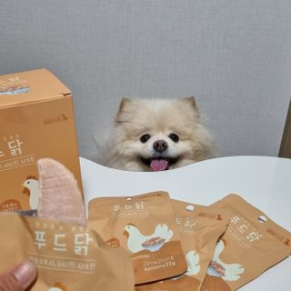 도그퓨어 푸드닭 강아지 닭고기 통살 애견간식 오리지널/차전자피/초록입홍합 — 5점을 준 리뷰어가 2021년 11월 올린 사용 사진
