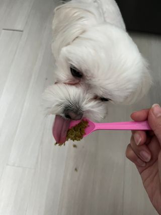 정꾸꾸님이 올린 리뷰 사진 2