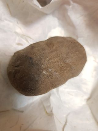진주님이 올린 리뷰 사진 1