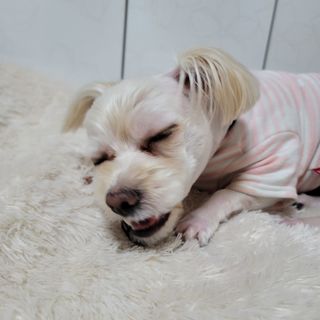 mejoom님이 올린 리뷰 사진 3