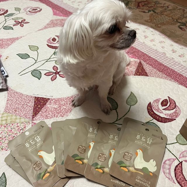 도그퓨어 푸드닭 강아지 닭고기 통살 애견간식 오리지널/차전자피/초록입홍합 리뷰 사진