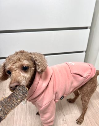 랑랑이1님이 올린 리뷰 사진 3