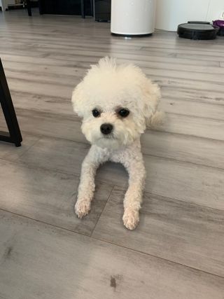 큐티윤님이 올린 리뷰 사진 4