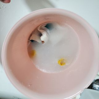 jiny님이 올린 리뷰 사진 3