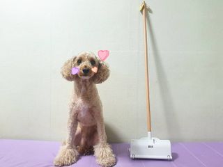 란아님이 올린 리뷰 사진 1