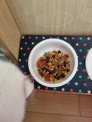 한방두방맘님이 올린 리뷰 사진 4