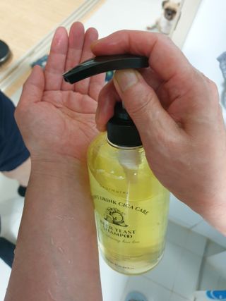 보리엄마님이 올린 리뷰 사진 3