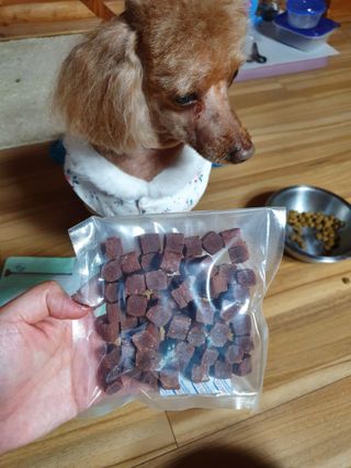My Pet Care 천연단백질 눈건강에 개좋아 — 5점을 준 리뷰어가 2021년 4월 올린 사용 사진