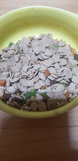 펭수님이 올린 리뷰 사진 1