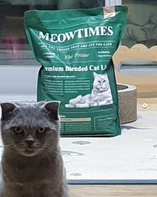 라기라기님이 올린 리뷰 사진 1