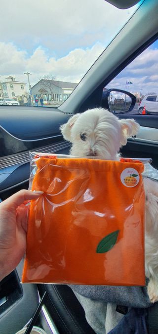 별사탕님이 올린 리뷰 사진 3
