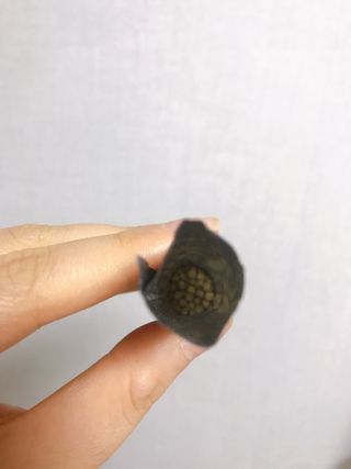 공팔리터최고님이 올린 리뷰 사진 3