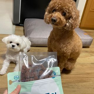 My Pet Care 천연단백질 눈건강에 개좋아 — 5점을 준 리뷰어가 2021년 3월 올린 사용 사진