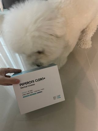 페페로니 클린플러스 덴탈치킨껌 10g x 14p — 5점을 준 리뷰어가 2021년 7월 올린 사용 사진