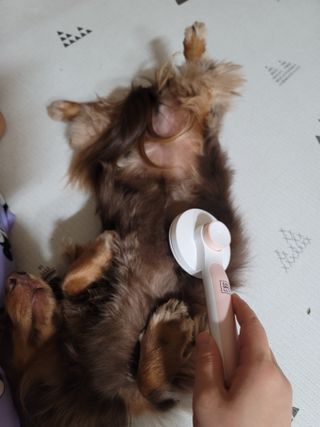 llalla님이 올린 리뷰 사진 2