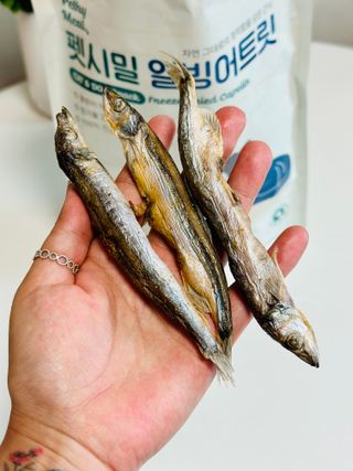 [펫시밀] 원물그대로 영양듬뿍 동결건조 왕북어트릿300g,왕치킨트릿400g,열빙어트릿300g 대용량 간식 — 5점을 준 리뷰어가 2023년 5월 올린 사용 사진