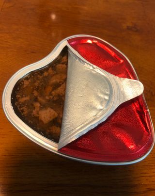 비타크래프트 조에시 하트캔 85g 강아지 습식캔 10캔 — 5점을 준 리뷰어가 2021년 9월 올린 사용 사진
