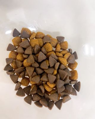 [푸디웜] 라포그  리얼인섹트 웨이트밸런스 저알러지 강아지 사료  1.2KG — 5점을 준 리뷰어가 2022년 7월 올린 사용 사진
