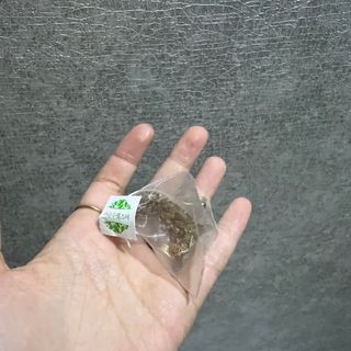 creed님이 올린 리뷰 사진 3