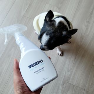 썽이mom앙꼬님이 올린 리뷰 사진 1