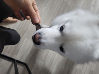 kay님이 올린 리뷰 사진 3