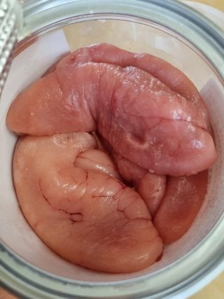 계절어부 72 백명란 — 5점을 준 리뷰어가 2021년 6월 올린 사용 사진