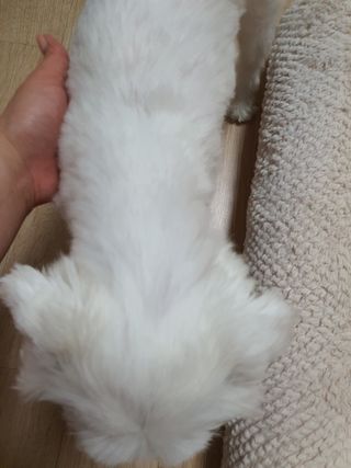 뽀오오옹님이 올린 리뷰 사진 3