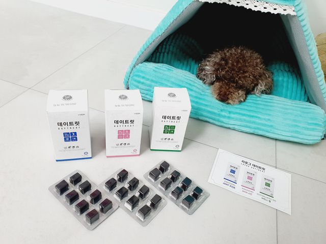 라포그 데이트릿 3종 리뷰 사진
