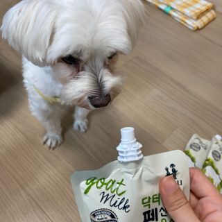뜡스리뷰님이 올린 리뷰 사진 1