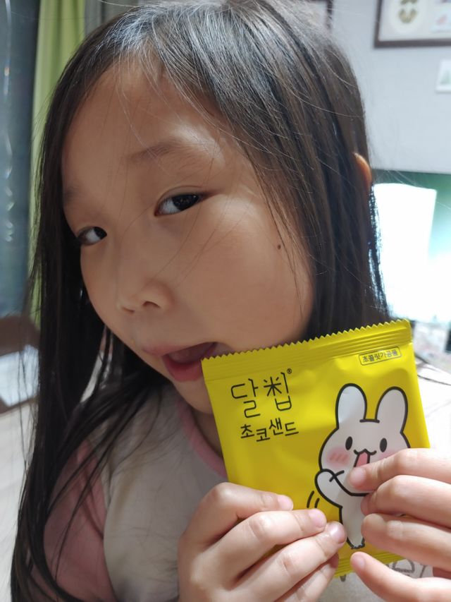 달칩 초코샌드 리뷰 사진