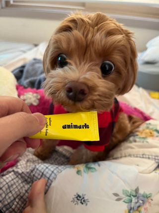 ehlove님이 올린 리뷰 사진 1
