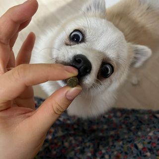 임해림님이 올린 리뷰 사진 4