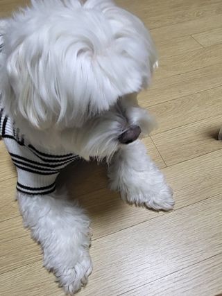 Zenithhappy님이 올린 리뷰 사진 3