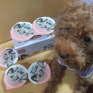제이드님이 올린 리뷰 사진 3
