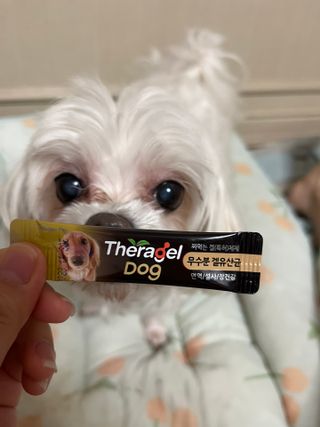 O_zl님이 올린 리뷰 사진 1
