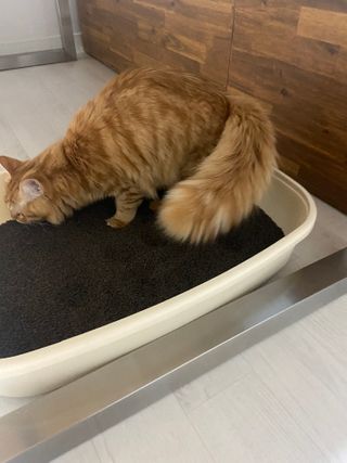 민댕댕이님이 올린 리뷰 사진 1