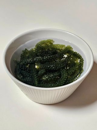 [피터씨마켓] 바다포도 100g(20g x 5봉) 우미부도 그린캐비어 ASMR 소분포장 — 5점을 준 리뷰어가 2024년 8월 올린 사용 사진