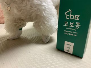 코보콩 에어슈즈 강아지 일회용 신발 소용량 패키지 20매 초경량  미끄럼방지 실내외 겸용 — 4점을 준 리뷰어가 2022년 2월 올린 사용 사진