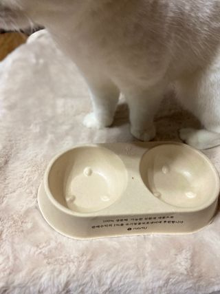 화이집사님이 올린 리뷰 사진 1