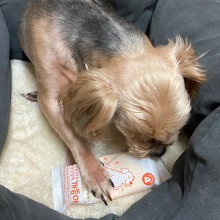 My Pet Care 모발과 모질 피부건강에 개좋아 — 5점을 준 리뷰어가 2021년 1월 올린 사용 사진