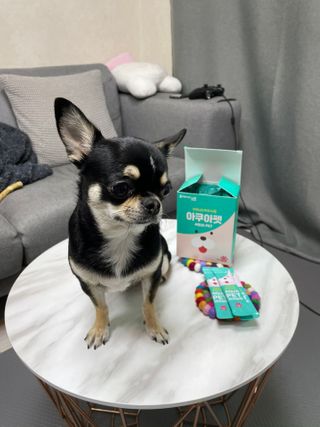 펫시랩 반려견용 액상 프리바이오틱스 아쿠아펫 — 4.5점을 준 리뷰어가 2021년 1월 올린 사용 사진