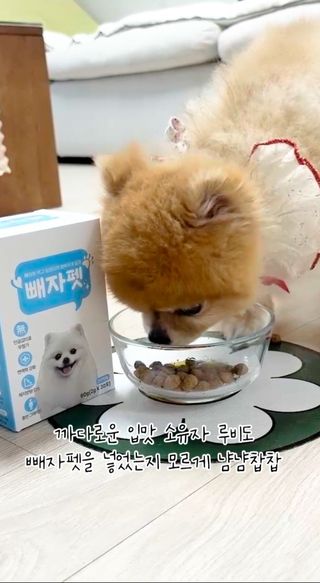 다미블리님이 올린 리뷰 사진 1